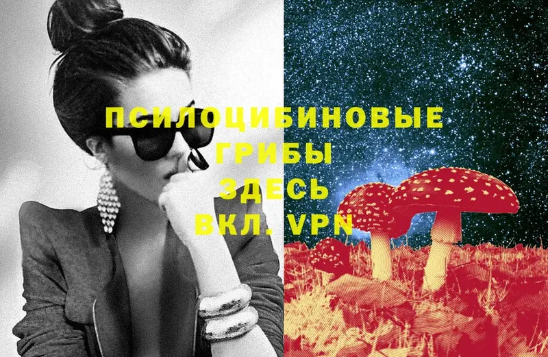 Псилоцибиновые грибы Cubensis  Бийск 